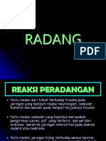 RADANG.ppt