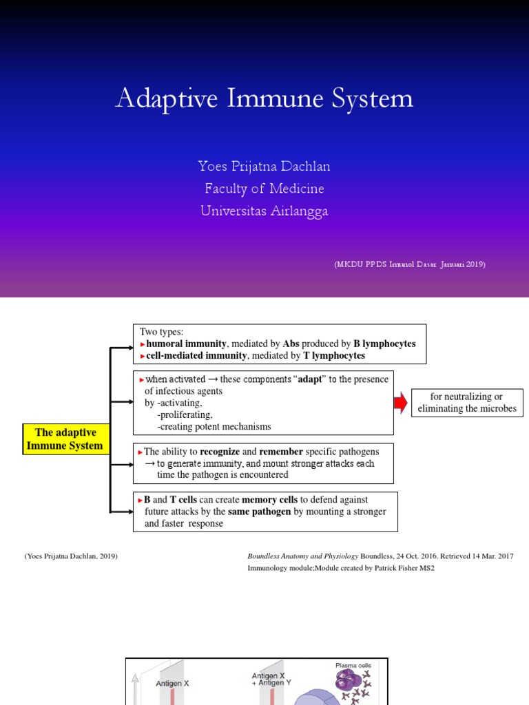 Overview of the Adaptive Immune System | PDF | Adaptive Immune System ...