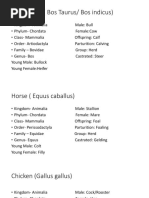 Cow Taxonomic Classification Chart | PDF