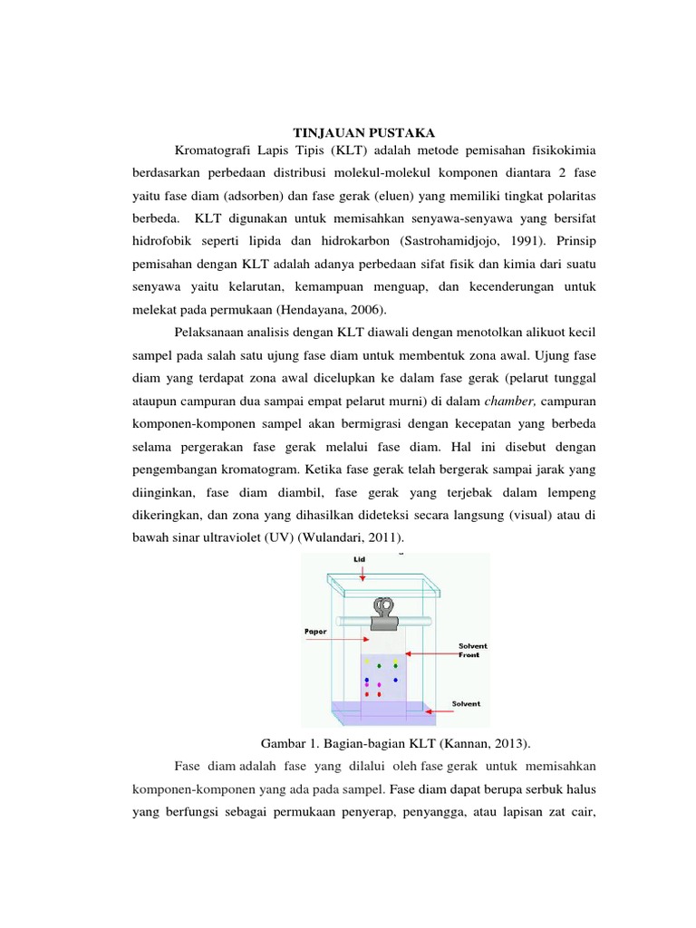 Kromatografi Lapis Tipis | PDF