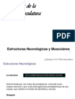 07. Neuromuscular