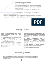Epid, Etiologi DN Pato GNAPS