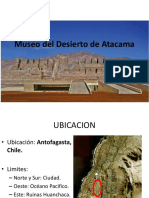 Museo Del Desierto de Atacama