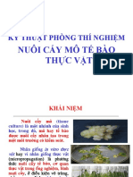 Chuong 2 Ky Thuat Phong Thi Nghiem Nuoi Cay Mo Te Bao Thuc Vat