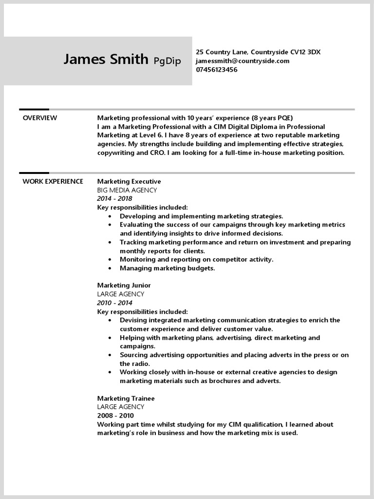 Two Page Bordered Cv Template Alternative | Pdf | Marketing Communications  | Marketing