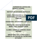 Importancia de La Adecuada o Correcta Actuación Del Secretario Actuario