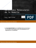 Mecanismos Moleculares de la Memoria.pdf