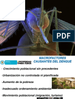 presentacion-dengue.pptx