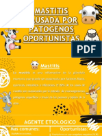 Mastitis Por M.O. Oportunistas