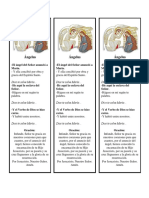 Oraciones Del Angelus