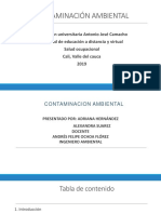 Contaminación Ambiental Ultima