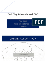 Clay Minerals and CEC