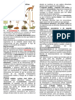 Cadenas Alimentarias o Tróficas