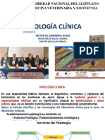 PRESENT SANGRE en Correcc 2019-II