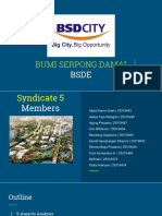 BSDE Report