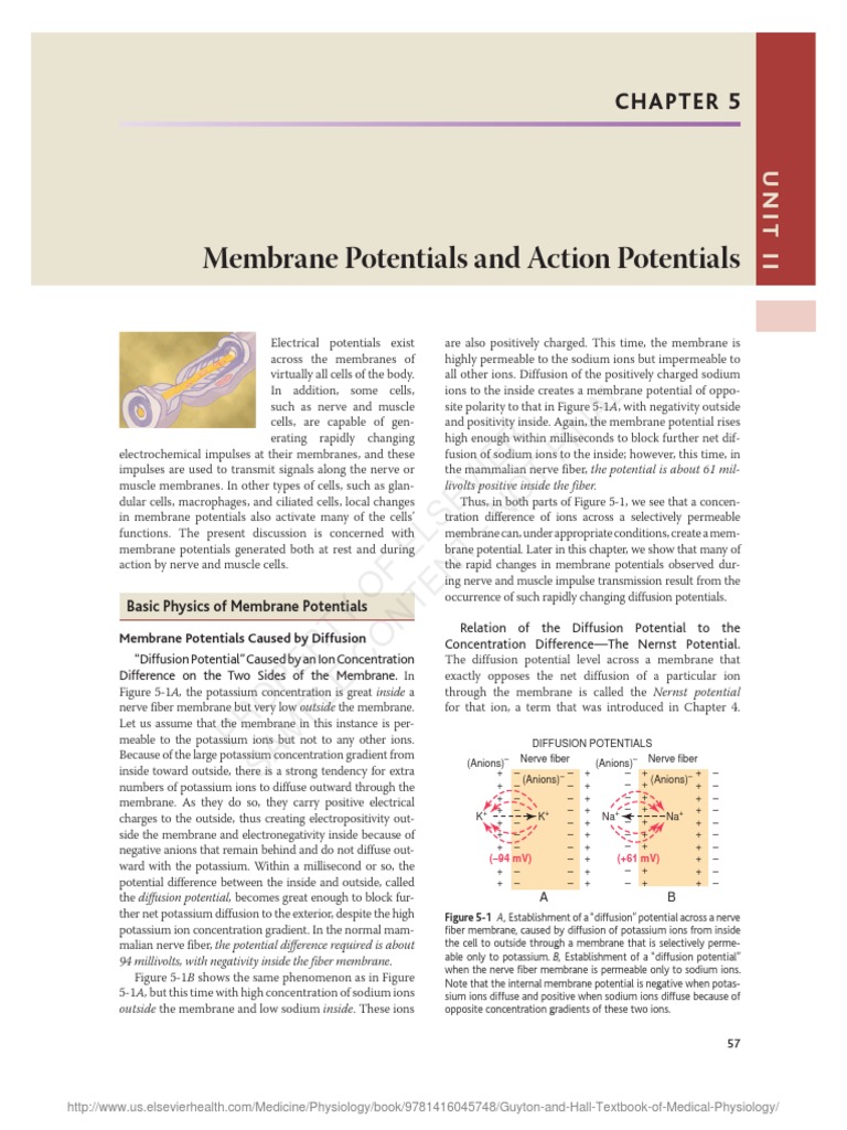 Mickey Guyton intelligence overview