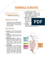 How Animals Survive (Science PT) - 2019