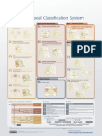 Aospine Subaxial Classification System