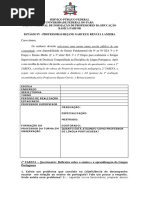 estgio iv - profas. rejane garcez e renata lameira.pdf
