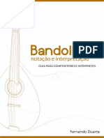 BandolimNotacaoInterpretacao_FernandoDuarte.pdf