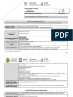 Anexo 5. Diseño de Proyectos Transversales