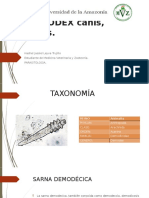 DEMODEX Canis, Bovis