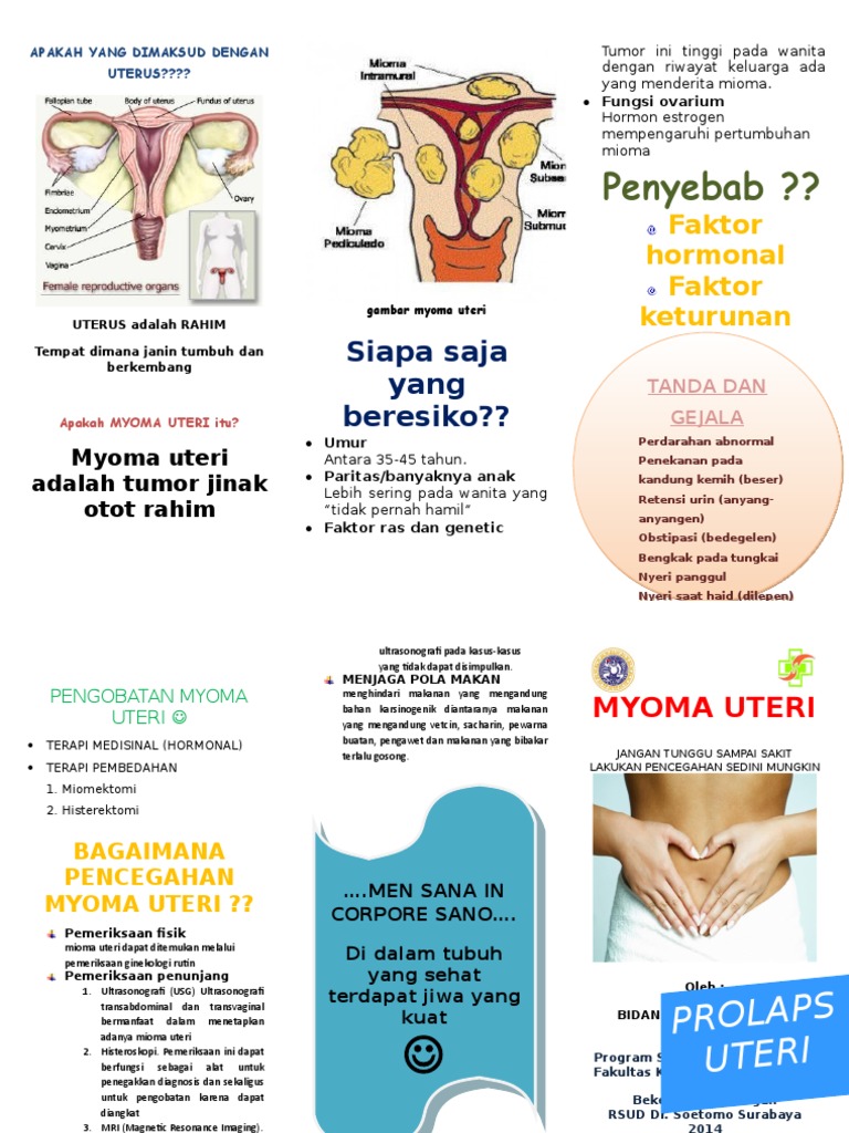 Leaflet Myoma | PDF