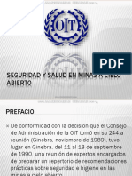 OIT SEGURIDAD-MINAS.pdf