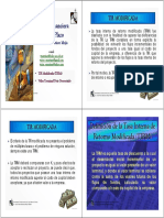 16-GFLP.pdf