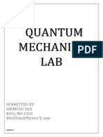 QM Lab Animesh PDF