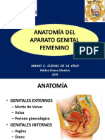 ANATOMIA Genital Femenino