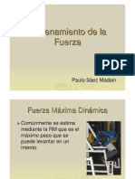 Entrenamiento_Fuerza_1.pdf
