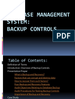Database Management System: Backup Controls