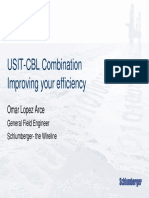 USIT CBL Microannulus PDF