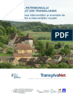 Publicatia Transylvanet PDF