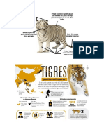 Infografías de Un Tigre
