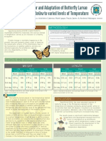 Butterfly Larvae Adaptation to Varied Temperature Levels