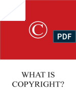 API Copyright Booklet