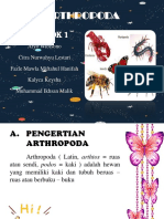 Arthropoda