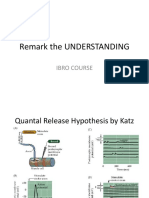 Remark The UNDERSTANDING: Ibro Course