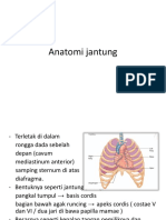 Anatomi Jantung Shasha, dk2p1