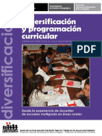 diversificacion_y_programacion.pdf