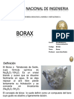 Clase Borax 2019