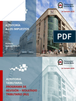 Programa revisión RLI.pdf