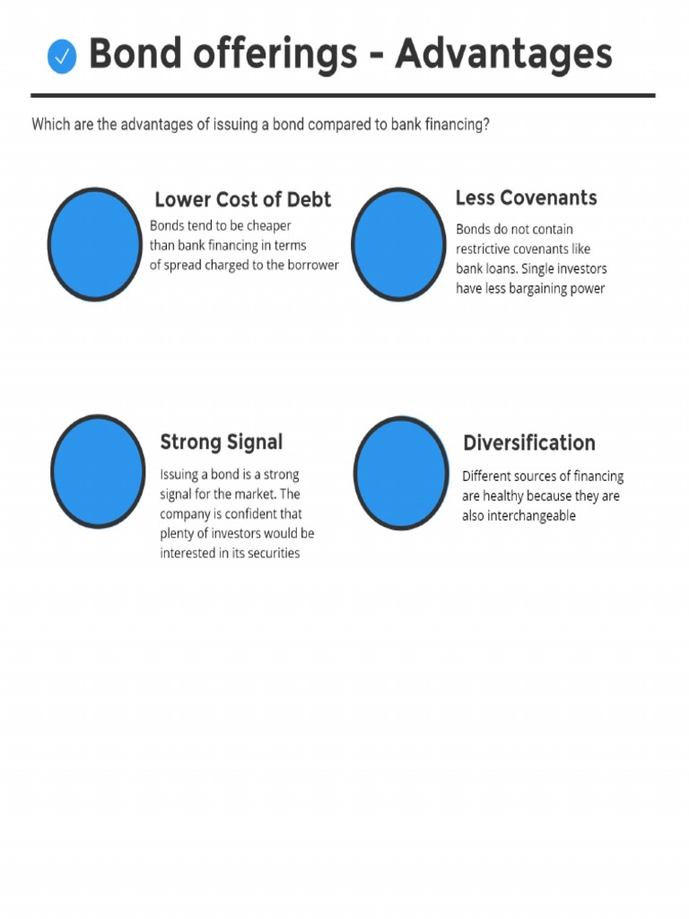 Debt Offerings Course Challenge Solved PDF PDF