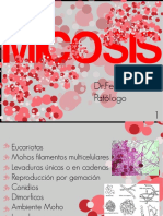 Micosis PDF
