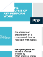 How The Hydrolysis of Atp Perform Work