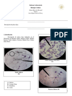 Modelo Informe de Laboratorio