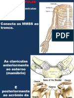 Téc. Radiológicas 5