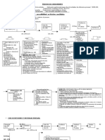 Flujo CPC PDF